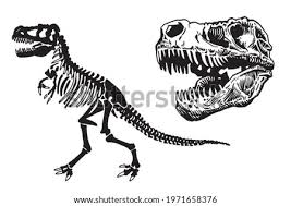 Search through 623,989 free printable colorings at getcolorings. Skull And Bones Coloring Pages Dinosaur Skull Clipart Stunning Free Transparent Png Clipart Images Free Download