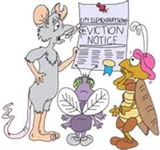 During the above period, the council received 635 calls regarding rats from. Pin On Pest Control Roaches