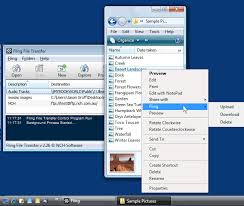Fling Ftp Sync And Upload Software Manual Or Automatic File Upload From Within Explorer Fling Is Easy To Use File Software Support Software Organization Help