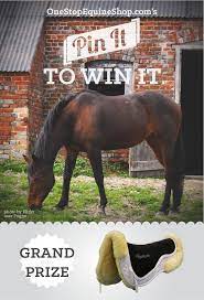 Pin To Win An Ultra Thinline Trifecta Cotton With Sheepskin Half Pad Product 6674 From Onestopequineshop Com Horse Love Cute Horses Horses