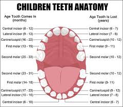 If Your Child Has Teeth Choosing A Toothpaste With Fluoride