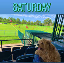 Cookbundoon sports complex, racecourse drive goulburn 2580. Ayl Twitter Search