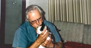 What are the signs of dementia in cats? Cat Loving Grandad With Dementia Gets Robotic Kitty To Comfort Him In His Final Days Cambridgeshire Live