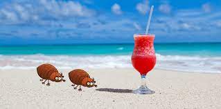 Mauvaise nouvelle pour les parisiens, en revenant de vacances, certains d'entre eux ont ramené quelques insectes avec eux. Conseils Pour Reconnaitre Et Eliminer Les Punaises De Lit Au Retour De Vacances