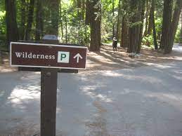 Irl Wilderness Wtf Fun Facts Fun Facts Wilderness