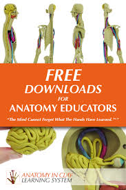 Distance Learning Anatomy Education Medical Knowledge Human Anatomy And Physiology