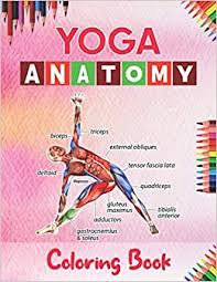 Female anatomy includes the external genitals, or the vulva, and the internal reproductive organs. Amazon Com Yoga Anatomy Coloring Book Yoga Poses Body Parts Coloring Book Learn About Body Function Movement During Yoga Stress Yoga Science Book For Girls Or Student Men Or Woman