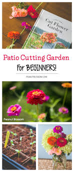 Poppies are ephemeral flowers, they fade away soon too, mostly, in just two days in vases. How To Set Up A Cut Flower Garden For Beginners Peanut Blossom