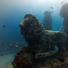 Neptune Memorial Reef Scuba Diving In Miami Fl Best Scuba Diving Classes Squalo Divers