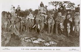 elephants,indian,hunt,hunts,hunting ...