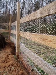 New College Farm Program Rabbit Proof Fence Chicken Wire Fence Chicken Fence Garden Fencing