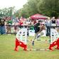 Fall Hobby Horse Competition
