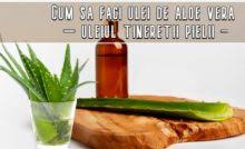 Iar fierturile și sucul de aloe vera sunt bune pentru stomac dacă suferi de gastrită, balonare sau chiar ulcer. Suc De Aloe Vera Mod De Preparare Administrare Si Beneficii Lataifas