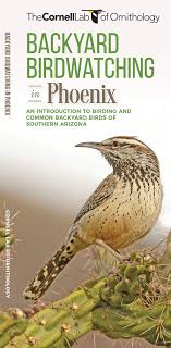 Backyard Birdwatching In Phoenix An Introduction To Birding And Common Backyard Birds Of Southern Arizona Wildlife And Nature Identification Waterford Press The Cornell Lab Of Ornithology Fernandes Pedro 9781620053584 Amazon Com Books