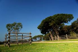 Dragi pratitelji, zbog epidemiološke situacije s koronavirusom 😷 nacionalni park brijuni bit će ❌ 𝐳𝐚𝐭𝐯𝐨𝐫𝐞𝐧 𝐳𝐚 𝐩𝐨𝐬𝐣𝐞𝐭𝐞 𝐝𝐨 𝐤𝐫𝐚𝐣𝐚. Nationalpark Brijuni Kroatien Reisefuhrer