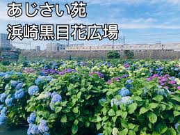 浜崎 黒目 花 広場