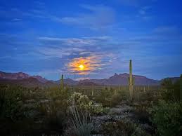 Encuentra información sobre turismo en baja california y lee opiniones sobre actividades, atracciones, restaurantes y hoteles. Februar Why Arizona Mulege Baja California Sur Ewaldontour