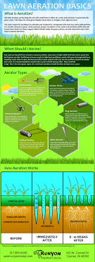 Compare homeowner reviews from 5 top melbourne aerate lawn services. Infographic Your Guide To Lawn Aeration The Basics Aerate Lawn Lawn Care Lawn Care Tips