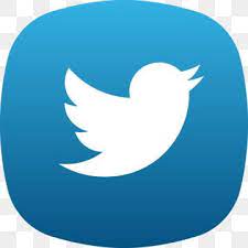Twitter Icone Png Logotipo De Twitter Vetor Do Twitter Icone Do Twitter Imagem Png E Vetor Para Download Gratuito Vector Icons Free Twitter Icon Twitter Icon Png
