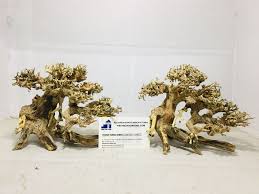 Lucky Aquarium Bonsai Couple For Wholesale Driftwood For Sale Aquarium Driftwood Aquarium