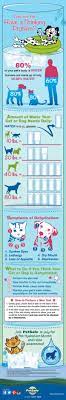 Keeping Pets Hydrated In The Summer Heat Pets Dogs Dog Health