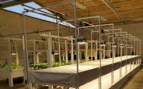 Check spelling or type a new query. Lightrail Light Movers Indoor Grow Light Systems Equipment