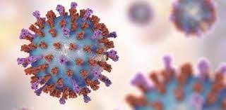 From tricky riddles to u.s. What Do You Know About Respiratory Syncytial Virus Trivia Questions Quiz Proprofs Quiz