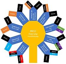 The early symptoms of lung cancer may be a slight cough or shortness of breath, depending on which part of the lung is affected. Non Small Cell Lung Carcinoma Wikipedia