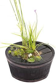 Our lightweight, fibreglass container ponds make small 'ponds in pots' or mini ponds, which are attractive planted water bowl features for a patio. Pond Packs Archives Lincolnshire Pond Plants
