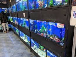 Petco los banos ca pet store. Centre D Animaux Nature 14 Photos Pet Stores 1500 Atwater Av Ville Marie Montreal Qc Phone Number Yelp