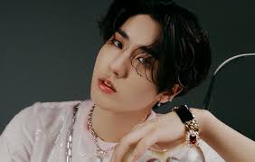 Stray Kids' HAN releases self-written song 'Human' for his birthday