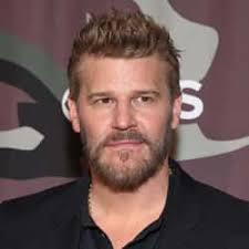 95+ Famous People Named David Or Dave