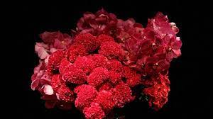 Jeff leatham, florist in residence at the george v and priscilla pilon of the weekend in paris. Floral Designer Jeff Leatham Is Honored In France Architectural Digest