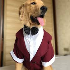 Pin Auf Hochzeit In Bordeaux Rot