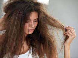 Don't forget to repeat this procedure every 2 weeks. Shampoo For Dry Hair Manage Your Dry And Dull Hair With These Shampoos Most Searched Products Times Of India