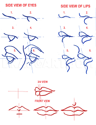 How To Draw Facial Features, Features Of The Face, Step By Step, Drawing  Guide, By Catlucker - Dragoart