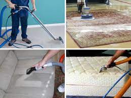 Pin On Carpet Cleaning And Water Damage