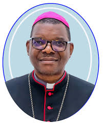 Bishop Constantino becomes bishop of new diocese in Mozambique