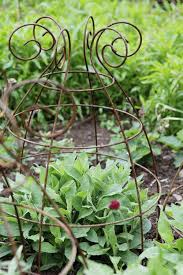 Ernest Belle Plants Herb Garden Design Plant Supports