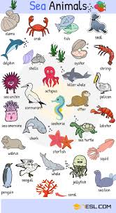 Animal Names Types Of Animals List Of Animals Animal Pictures 7esl