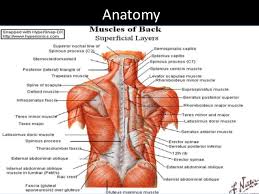 We did not find results for: Low Back Dysfunction For Acute And Chronic Injuries