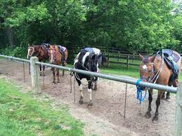 The name was changed to pokagon state park to acknowledge the rich native american heritage of the state and region. Saddle Barn At Pokagon State Park 25 For A 45 Minute Horse Ride It Was So Much Fun Picture Of Pokagon State Park Angola Tripadvisor