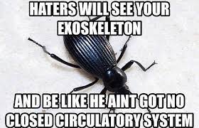 Pin By Lico On Meme Collection Social Media Platforms Circulatory System