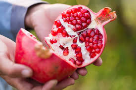 When and How to Harvest Pomegranates ...