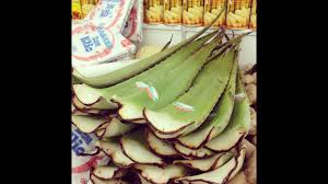 Aloe Vera Olive Oil Hair Mask Youtube