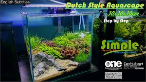 Sdh mulai proses ini bisa memakan waktu 10 sampai 20 hari. Step By Step Nano Dutch Style Aquascape 30 Cm Cube Youtube