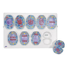 We did not find results for: Mitosis Model 1013868 3b Scientific R01 1 Biology Models Biology Teaching Products Mitosis Products Meiosis Products Cell Division Models