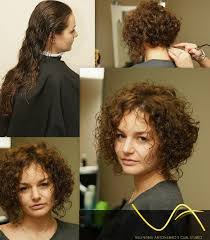 Pin By Josette Parsch On Home Decor Curly Hair Styles Bob Haircut Curly Short Curly Haircuts