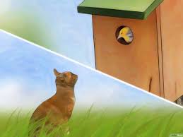 Achetez une boite de vis galvanisées. 3 Manieres De Attirer Les Oiseaux Dans Votre Jardin