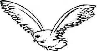 Each printable highlights a word that starts. Coloring Pages Flying Birds Flying Falcon Bird Coloring Bird Coloring Pages Animal Coloring Pages Superhero Coloring Pages